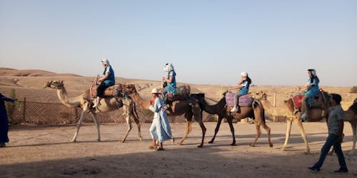 Giro in cammello nel deserto di Agafay