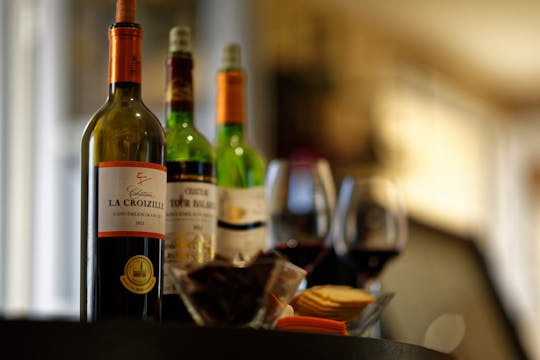 Panoramische wijnproeverij in Bordeaux