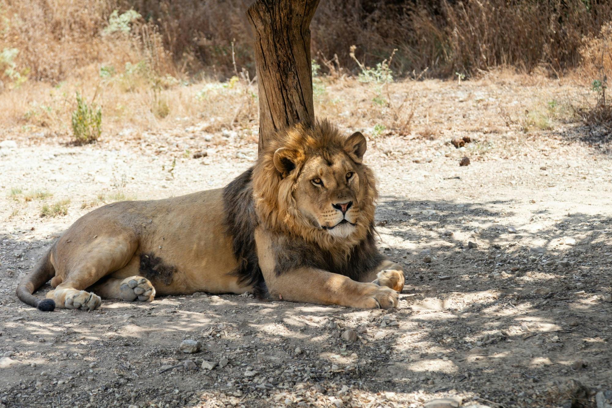 Parque de Tierpark de Friguia