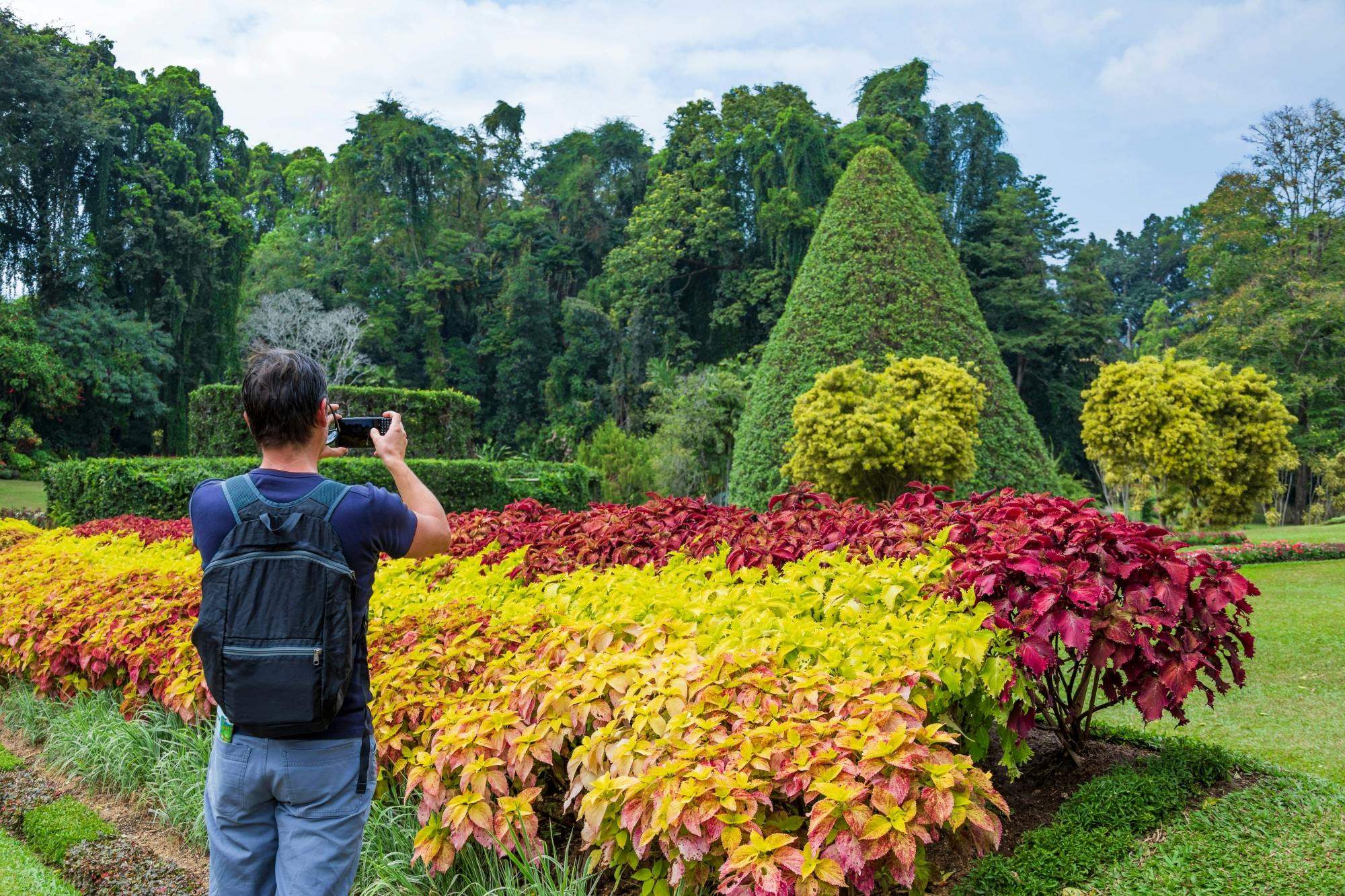 Kandy and Nuwara Eliya Two-day Tour with Train Ride