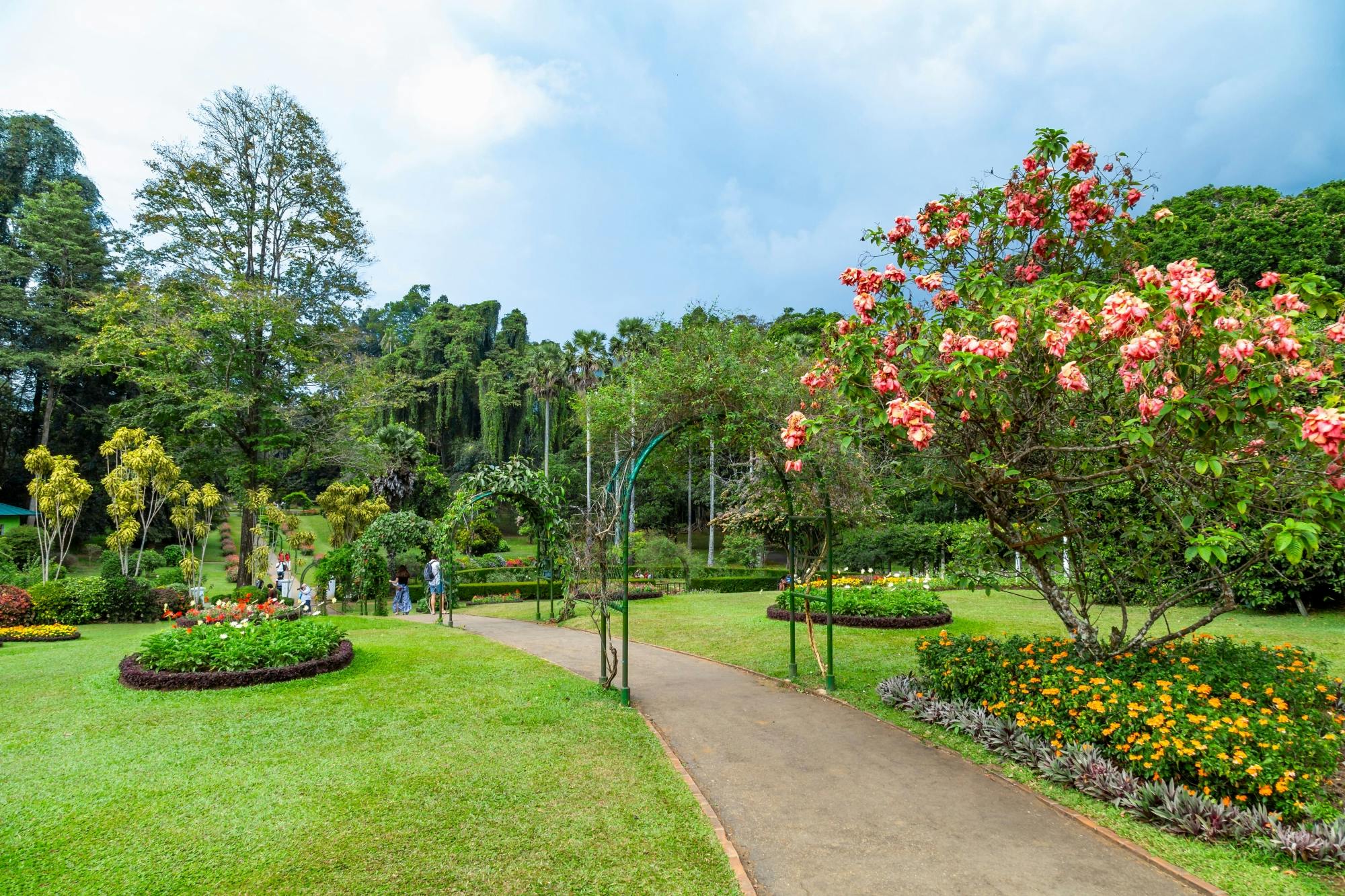 Kandy, Ella, Yala Park Safari and Galle Four-day Tour