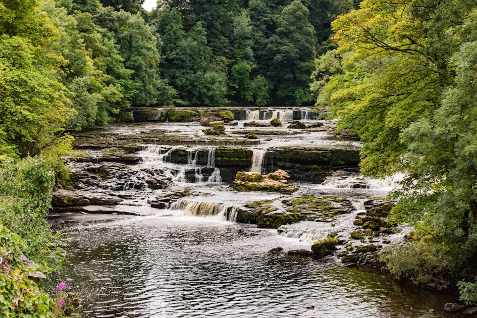 Yorkshire Dales National Park Tours and activities musement