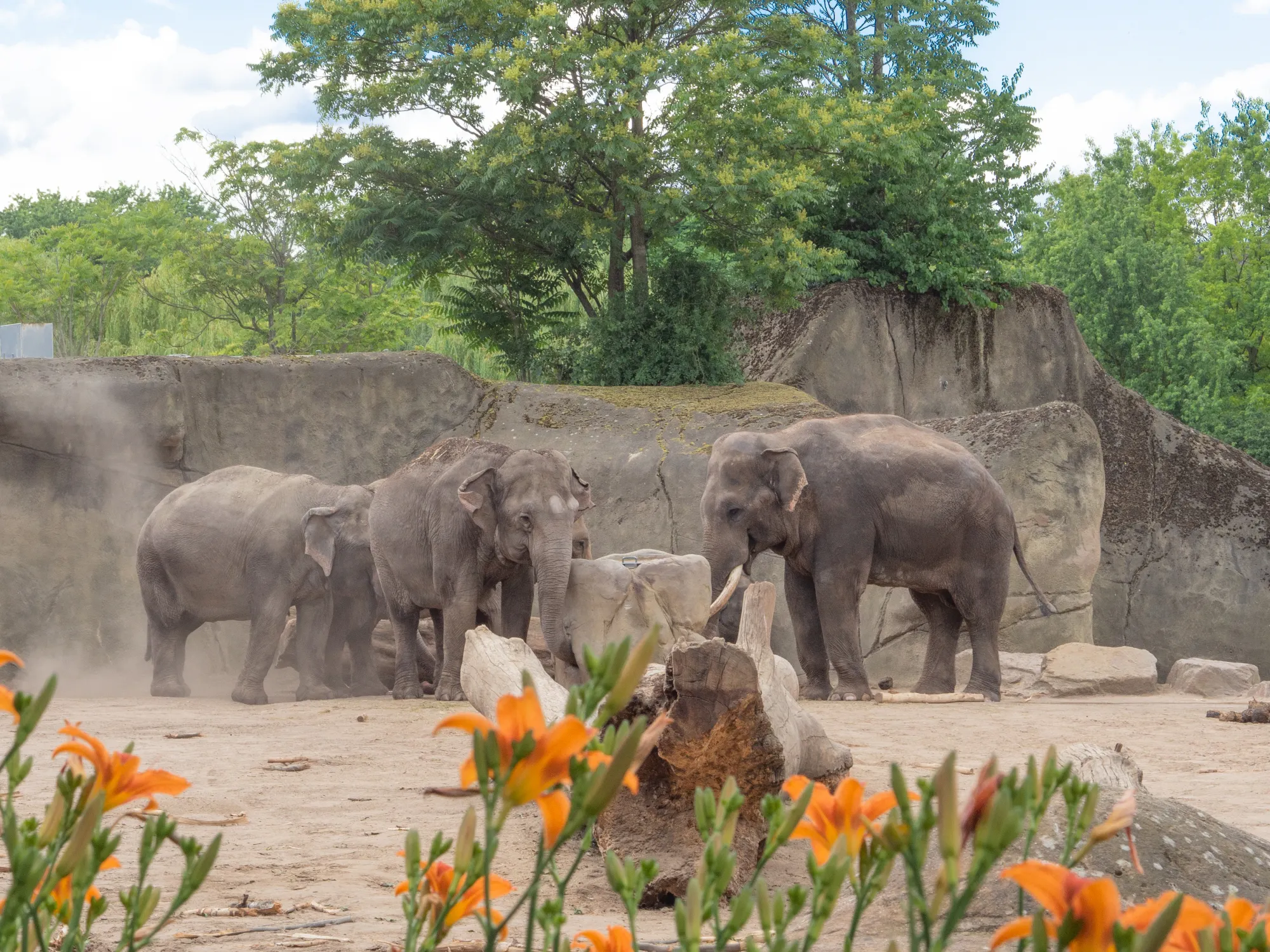 Cologne Zoological Garden