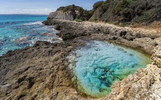 Excursion d'une journée en bateau vers le sud de la Corse depuis Cannigione avec apéritif