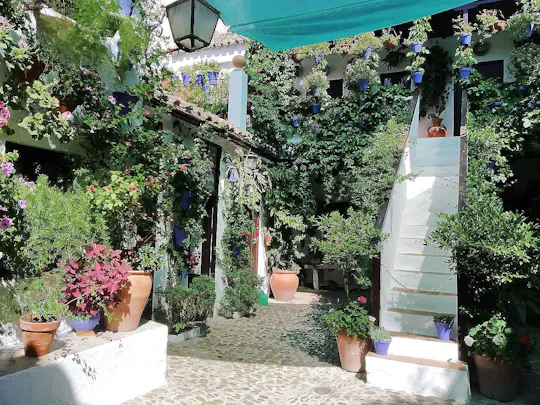 Passeio guiado a pé pelos pátios de Córdoba