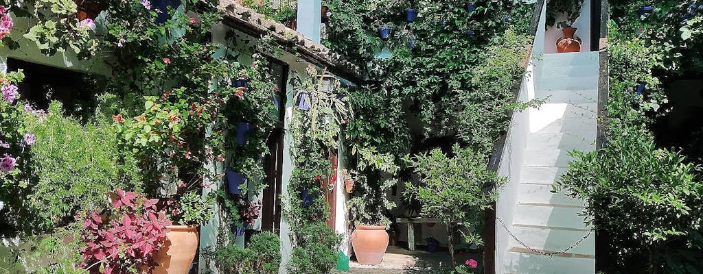 Courtyards of Córdoba guided walking tour