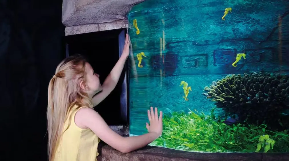 SEA LIFE Oberhausen