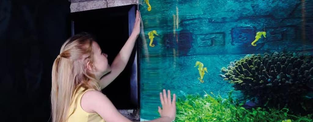 SEA LIFE Oberhausen biljetter och utflykter