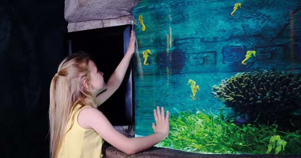 SEA LIFE Oberhausen: Tickets