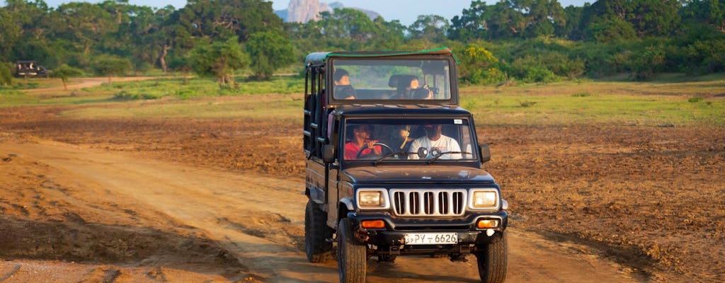 Safari de dos días por el Parque Nacional de Yala, Ella y Nuwara Eliya