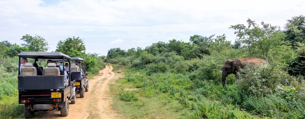 Safari de dos días por el Parque Nacional de Udawalawe, Ella y Nuwara Eliya