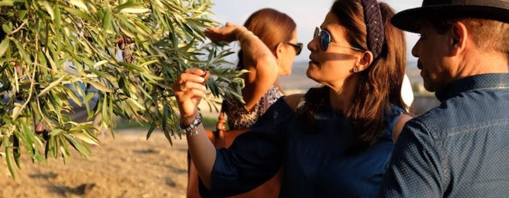Tasting of EVO oil in the province of Agrigento