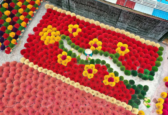 Quang Phu Cau incense stick village guided tour from Hanoi