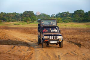 Yala-Nationalpark: Tagesausflüge und Touren ab Galle (Stadt)