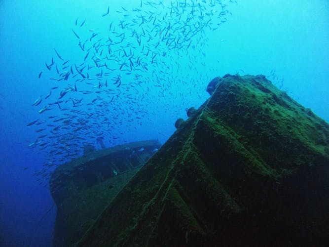 Abades Bay Individual Dive Experiences