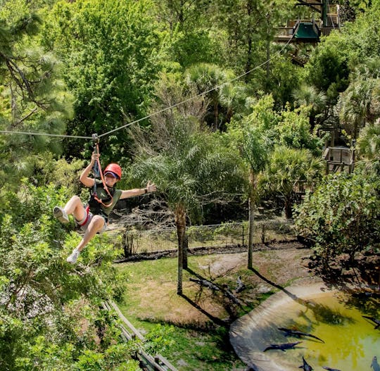 Kombi-Eintritt zur Screamin' Gator Zipline und Gatorland