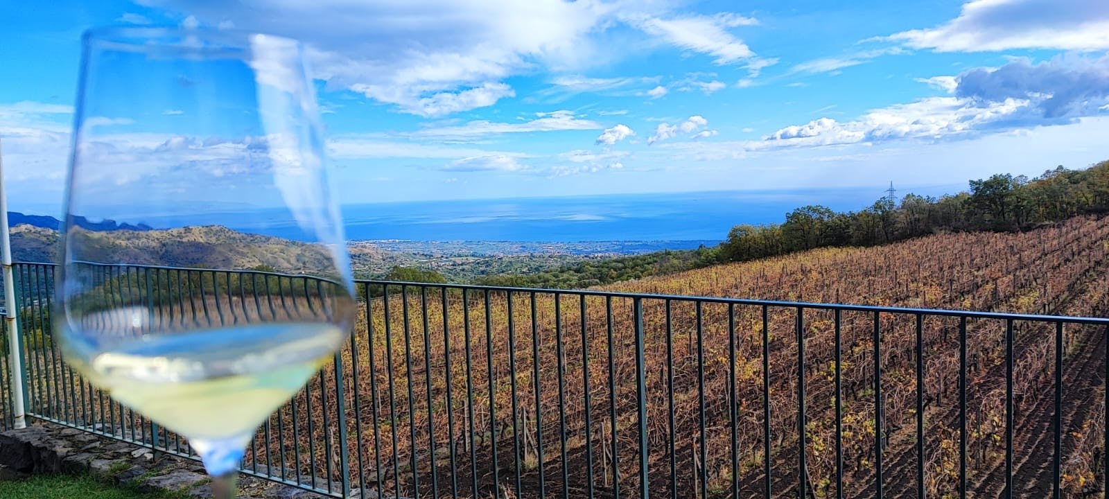 7 degustaciones de vinos y comida en el Parque Nacional del Etna con visita a la bodega