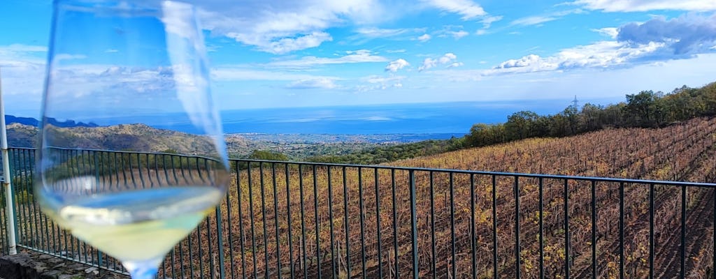 7 wines and food tasting in Etna National Park with winery tour