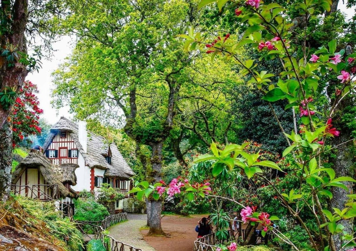 Escursione guidata di un'intera giornata lungo la Levada do Caldeirão Verde
