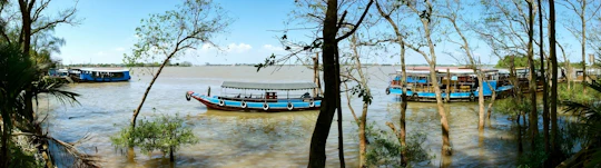 Guided tour of Cu Chi Tunnels and Mekong Delta in a small group