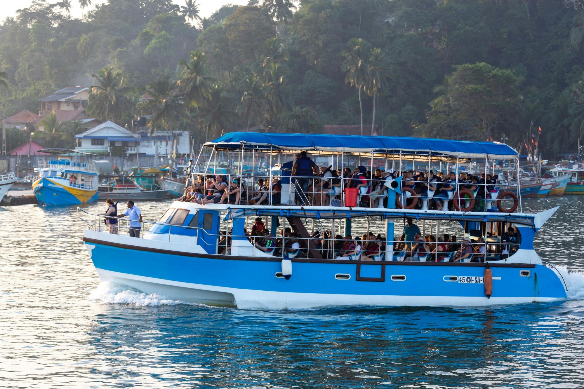 Whale & Dolphin Watching Boat Trip with Trincomalee Tour from the East Coast