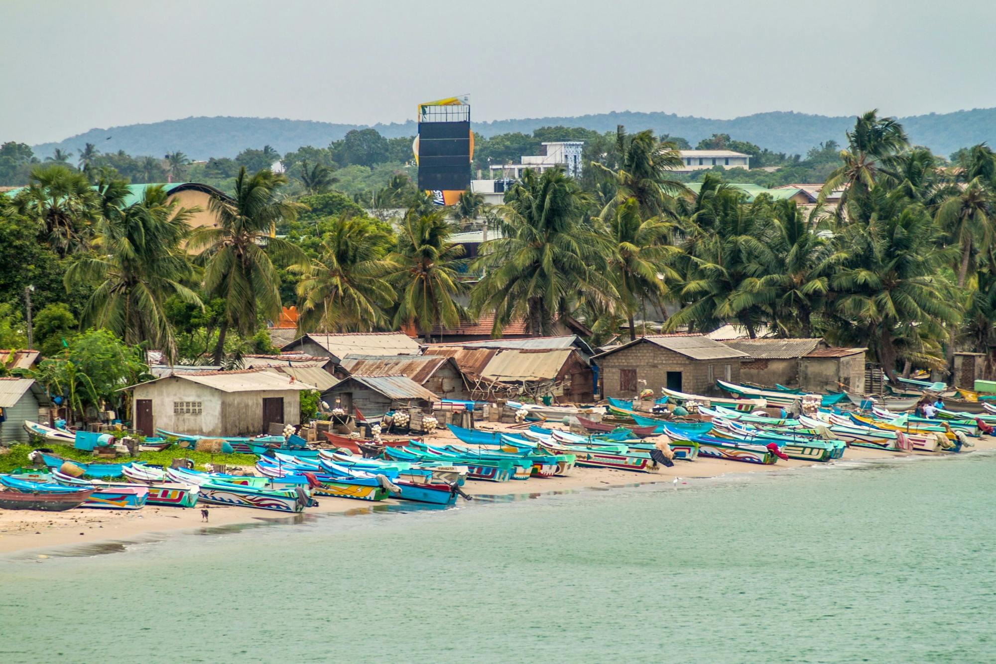 Whale & Dolphin Watching Boat Trip with Trincomalee Tour from the East Coast