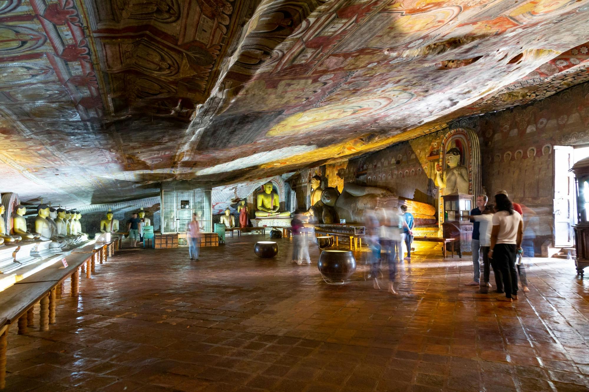 Sigiriya, Dambulla and Minneriya Park Safari Tour from the East Coast