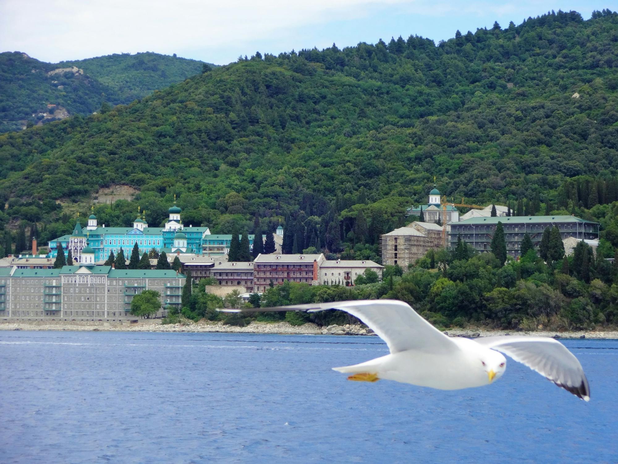 Mount Athos Cruise from Ouranoupolis