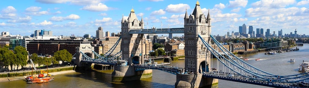 Visite guidée privée d'une demi-journée de la Tour de Londres et du Tower Bridge