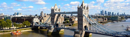 Visita guiada privada de meio dia à Torre de Londres e à Tower Bridge