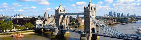 Tower of London en Tower Bridge privérondleiding van een halve dag