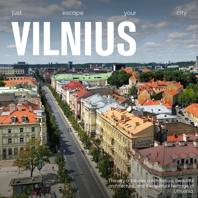 City in Vilnius  musement