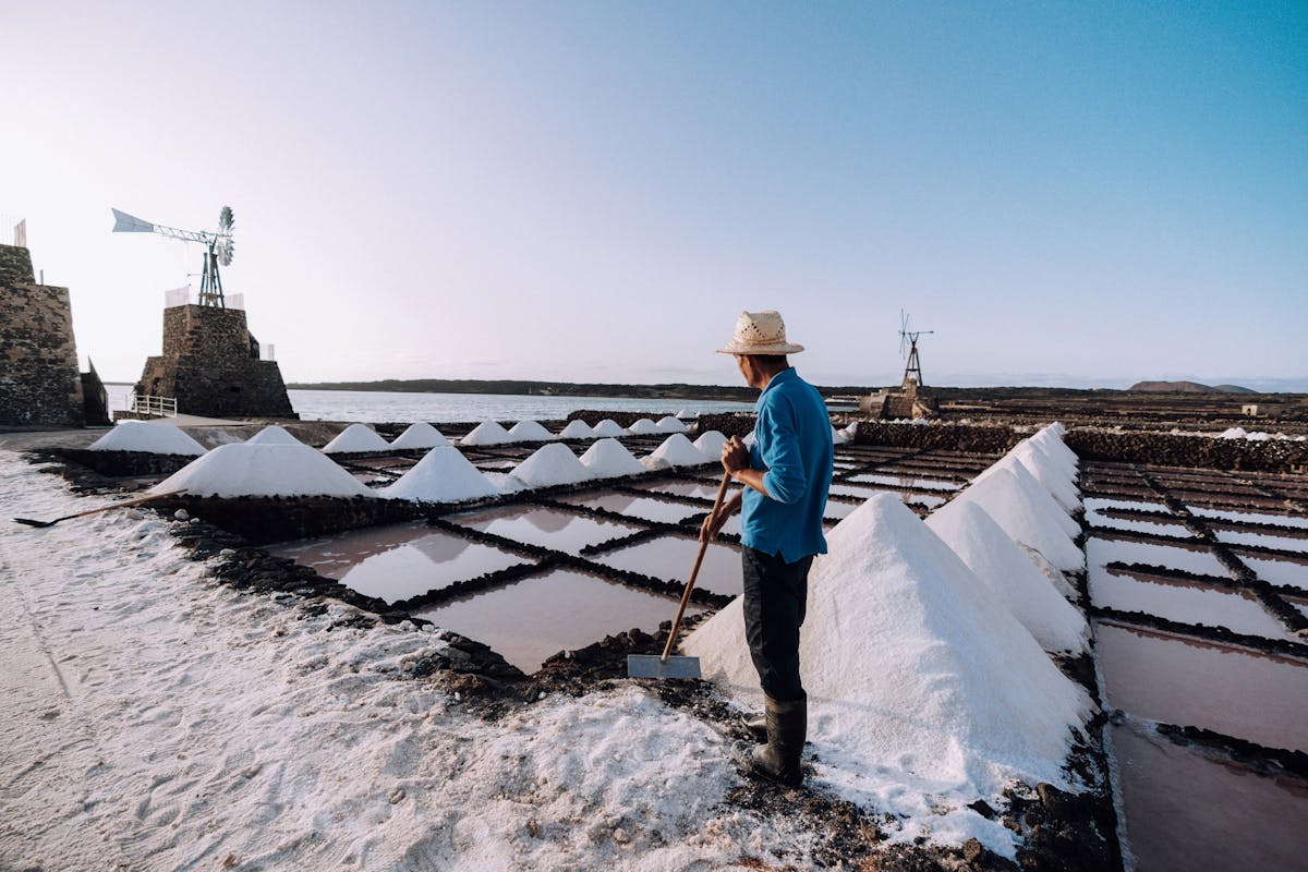 Rondleiding naar de Salinas de Janubio