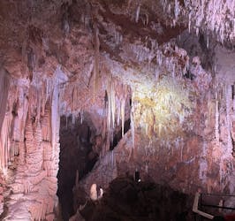 Tour guidato di mezza giornata in minibus di vino e grotta di Terrasses du Larzac