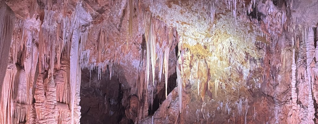 Półdniowa wycieczka do jaskini Terrasses du Larzac i minibusem po winie