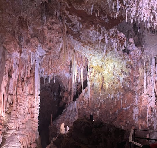 Visita guiada en minibús de vino y cuevas de medio día a Terrasses du Larzac