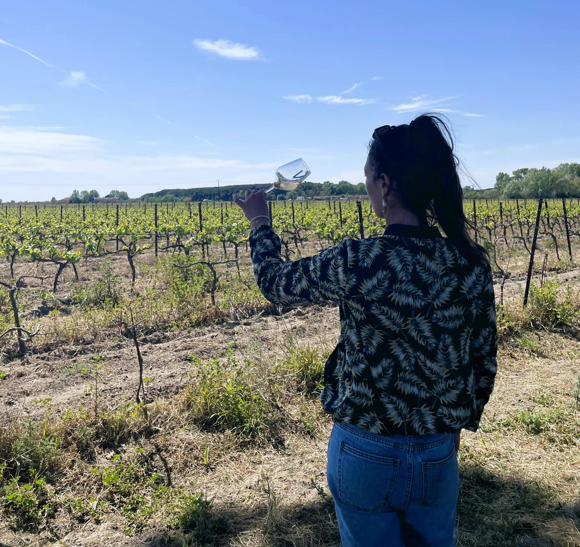 Sable de Camargue half-day minibus tour with lunch and tastings