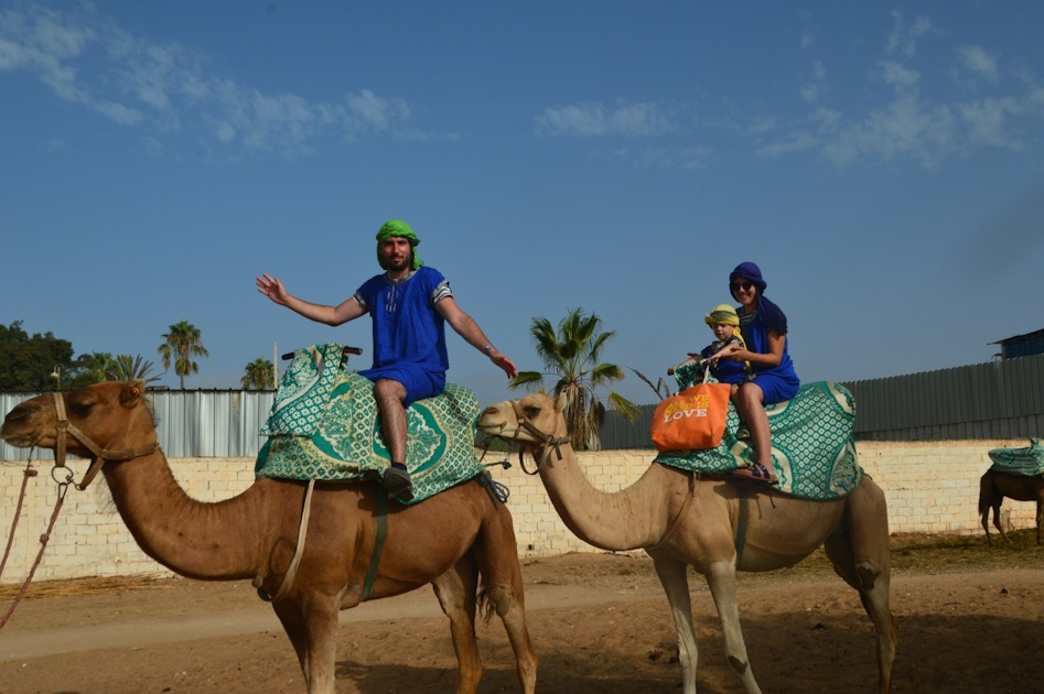Sunset Camel Ride in Agadir With Transport, Tea, and Local Cakes | musement