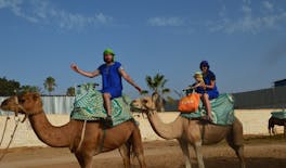 Sunset Camel Ride in Agadir With Transport, Tea, and Local Cakes