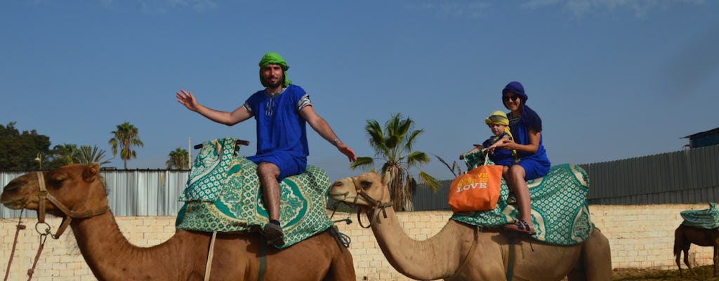 Sunset Camel Ride in Agadir With Transport, Tea, and Local Cakes