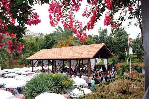 Santana Wine Festival Tour