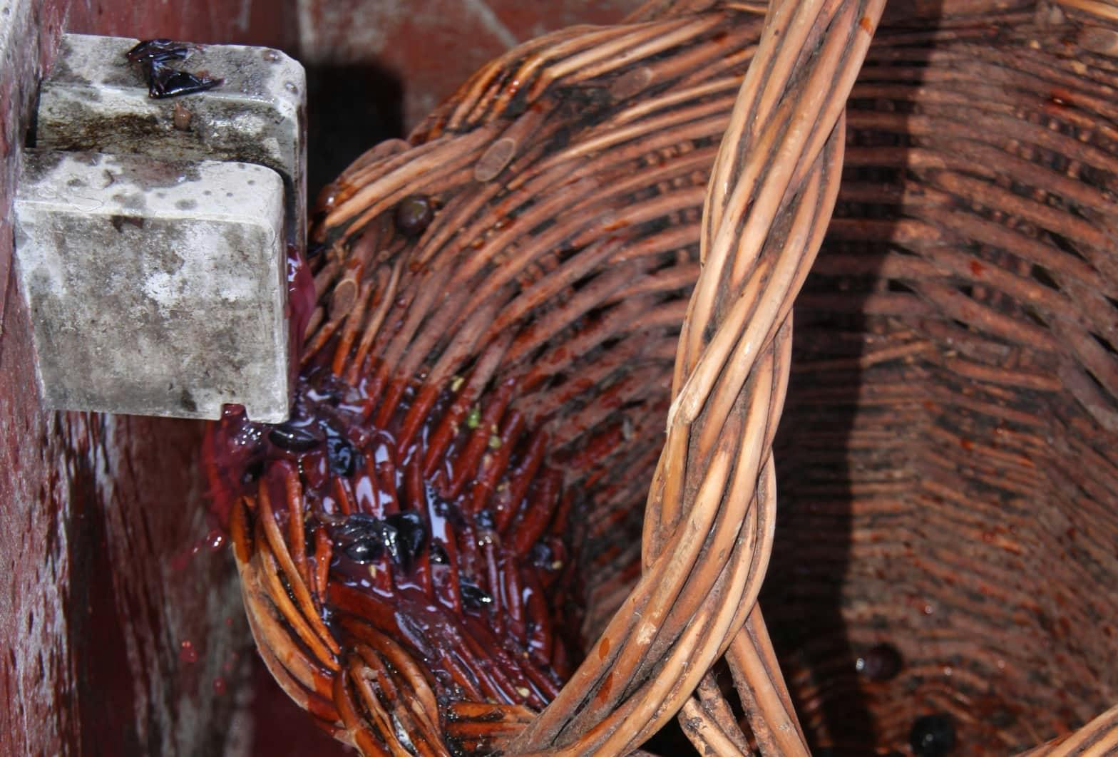 Santana Wine Festival Tour