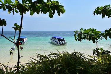 Excursão privada de lancha às Ilhas Phi Phi saindo de Krabi