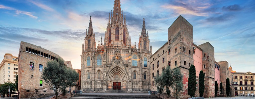 Barcelona cathedral entrance ticket with free audio city tour