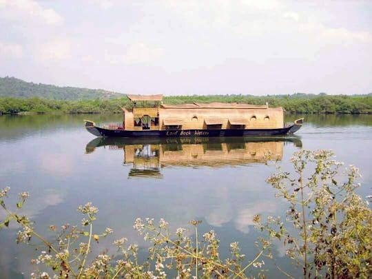 Excursion en bateau à moteur sur la rivière Chapora