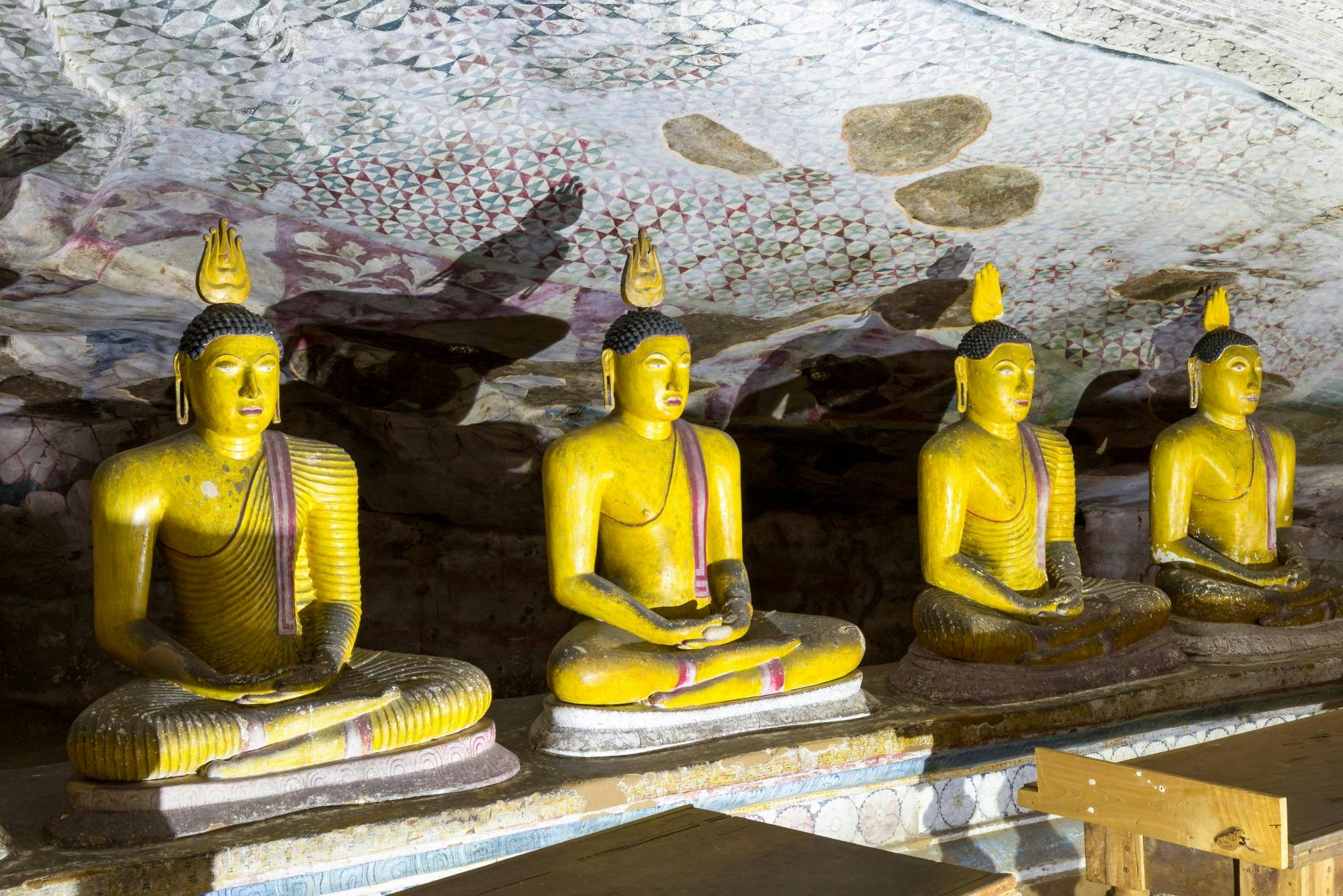 Dambulla Cave Temple and Pidurangala Rock Tour