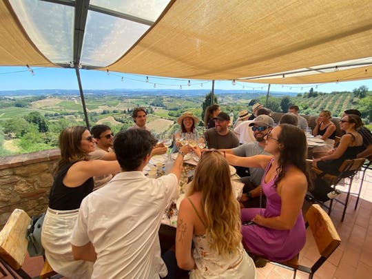 Visite des vins du Chianti au départ de San Gimignano