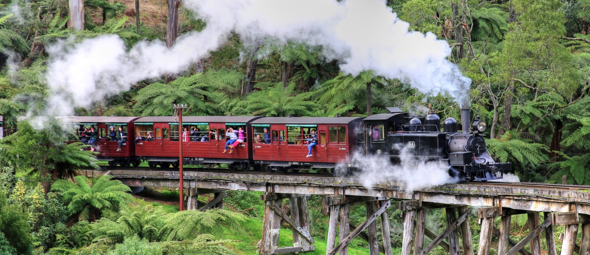 Santuário de Healesville e passeio panorâmico de ônibus Puffing Billy