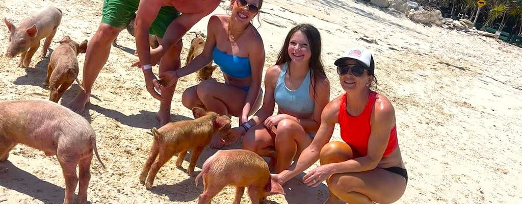 Aventure sur la plage des cochons de Pearl Island avec déjeuner