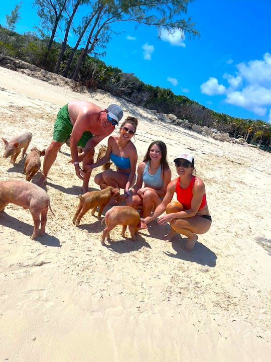 Aventure sur la plage des cochons de Pearl Island avec déjeuner